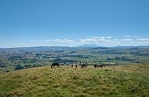 High Country Enchantment Full-Day Horse Trek