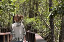 Private Luxury Cape Tribulation Adventure and Crocodile Cruise