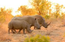 3 Day Serengeti and Ngorongoro safari (Private/ group joining)