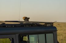 3 Day Serengeti and Ngorongoro safari (Private/ group joining)