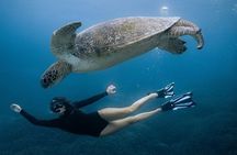 Nusa Penida One Day Trip with Snorkeling - All Inclusive