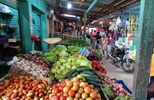 Half-Day Safari and City Tours