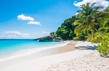 Havelock Coral Experience: Semi-Submarine and Radhanagar Beach