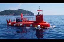 Havelock Coral Experience: Semi-Submarine and Radhanagar Beach