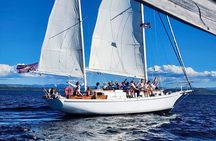Evening Eco Sailing Adventure to Māori Rock Carvings Lake Taupō