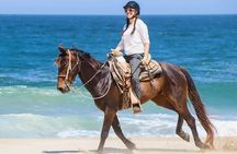 Sharm El Sheikh Horse Riding Beach and Desert Mountain Adventure