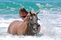 Hurghada Desert and Beach Horse Riding Tour: 2 Hours