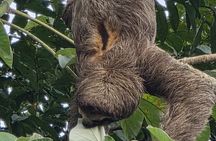 Panama Canal Tour: New Locks Agua Clara & Monkey Island Tour