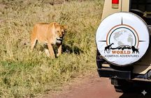 4-Day Ultimate Big Five Safari: Tarangire, Serengeti & Ngorongoro