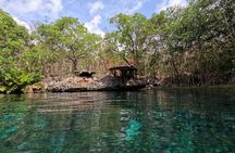 Private Tour : Swim with Sea Turtles in Akumal + Two Cenotes