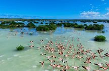 North and Middle Caicos Island Private Tour