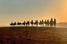 Agafay Desert Sunset Experience Quad Camel Ride and Dinner