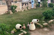 Private Egyptian Countryside Experience with Home Cooked Meal