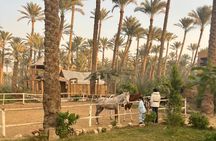 Private Egyptian Countryside Experience with Home Cooked Meal