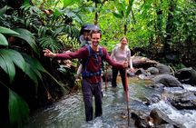 Annandale & Seven Sisters Waterfall with Grand Etang Lake