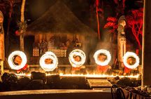 Fish Eye Island Cultural Dinner Show Buffet Course