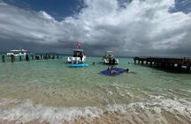 Private Charter on a Whaler 30 to Icacos and Palomino Island