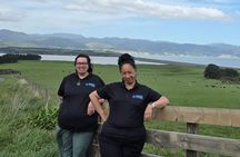 Wairarapa Tours South Wairarapa Cultural Tour Half Day