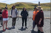 Wairarapa Tours South Wairarapa Cultural Tour Half Day