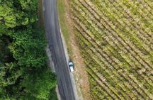 Private Guided Tour in Port Douglas and Surrounds