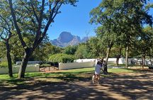 Family Oriented Cape Winelands and Vineyard Tour