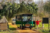 Family Oriented Cape Winelands and Vineyard Tour