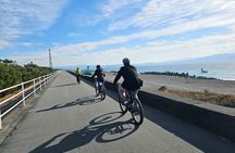 Mount Fuji Scenic EBike Tour for Cruise Travelers