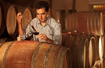 Private Guided Stellenbosch and Franschhoek Wine Tour