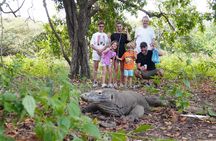 Labuan Bajo - Komodo Sailboat Multi Day Tour Package