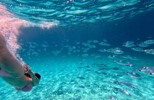 Zadar: Dugi Otok RIB tour to Shipwreck, Sea Cave & Sakarun Beach