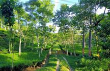 4-Days Srimangal Adventure Tour with Cycling Excursion