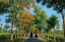 4-Days Srimangal Adventure Tour with Cycling Excursion