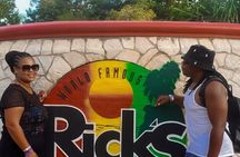 Bamboo Rafting and Ricks Cafe Tour from Montego Bay