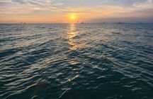 Sandbar Excursions with Snorkeling and Sunset Cruises in Key West
