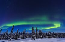 Arctic Circle & Northern Lights - Dalton Highway Tour