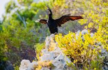 Perth Wine Region and Mandoon Estate - Guided Kayak Tour