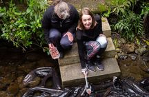 1Hour Guided Tour of Pūkaha National Wildlife Centre