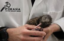 1Hour Guided Tour of Pūkaha National Wildlife Centre
