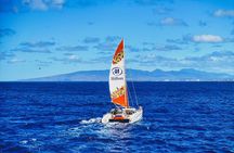 Sea Turtles and Snorkeling Experience in Kona