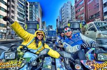 Tokyo Go Kart: Asakusa, Skytree, and Akihabara **IDP MUST**