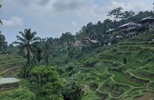 Private Bali Customizable Guided Tour