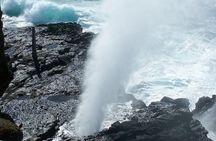 Best Oahu Circle Island Tour with Snorkeling + Free Wi-Fi &Perks 