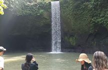 Bali Private Customizable Tour