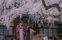 VIP Osaka and Nara Attractive Customized Pvt. One Day Tour