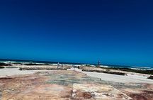  Cape Agulhas,Stoni Point Penguin Colony Day Tour from Cape Town