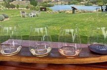 Explore Bannockburn Wineries & Private Wine Retreat by eBike