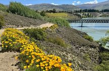 Explore Bannockburn Wineries & Private Wine Retreat by eBike