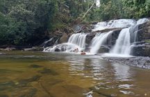 Sinharaja Rain Forest Day Tour from Mirissa, Galle, Bentota Area