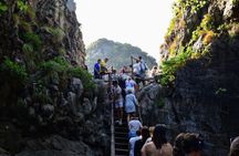 Phi Phi Cove Collector