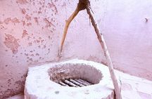 Al Ain Tour with Oasis, Forts, Mountain & more from Abu Dhabi